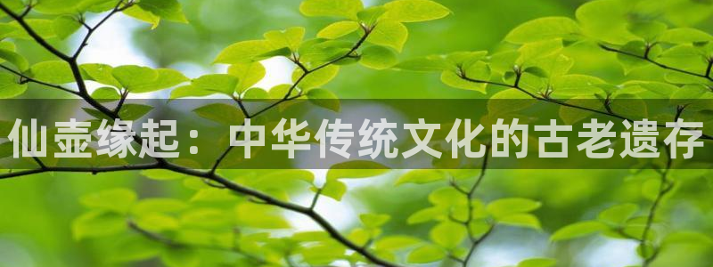 fh至尊游戏彩票